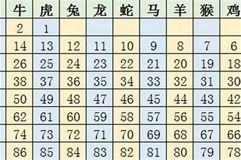 2023生肖歲數|2023年十二生肖号码表完整版 属相岁数年龄查询对照表